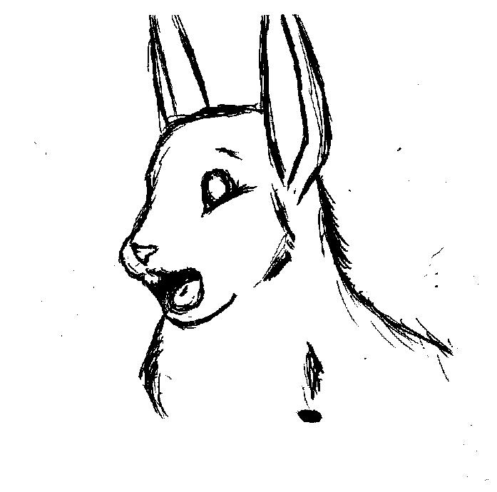 I drew a bunny :D