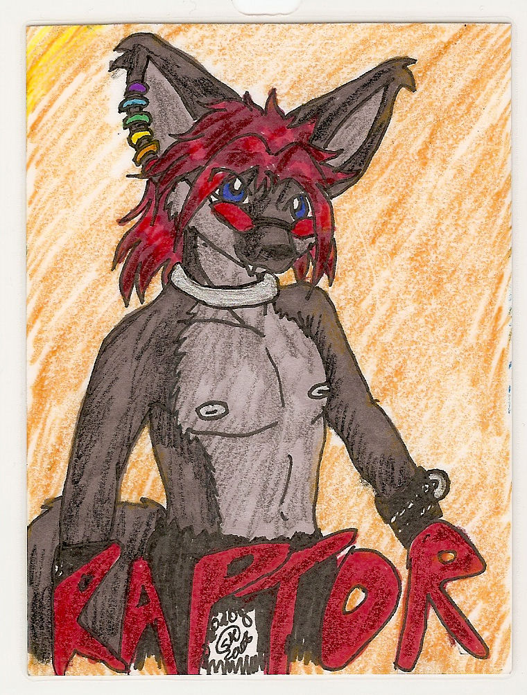 Raptor Badge