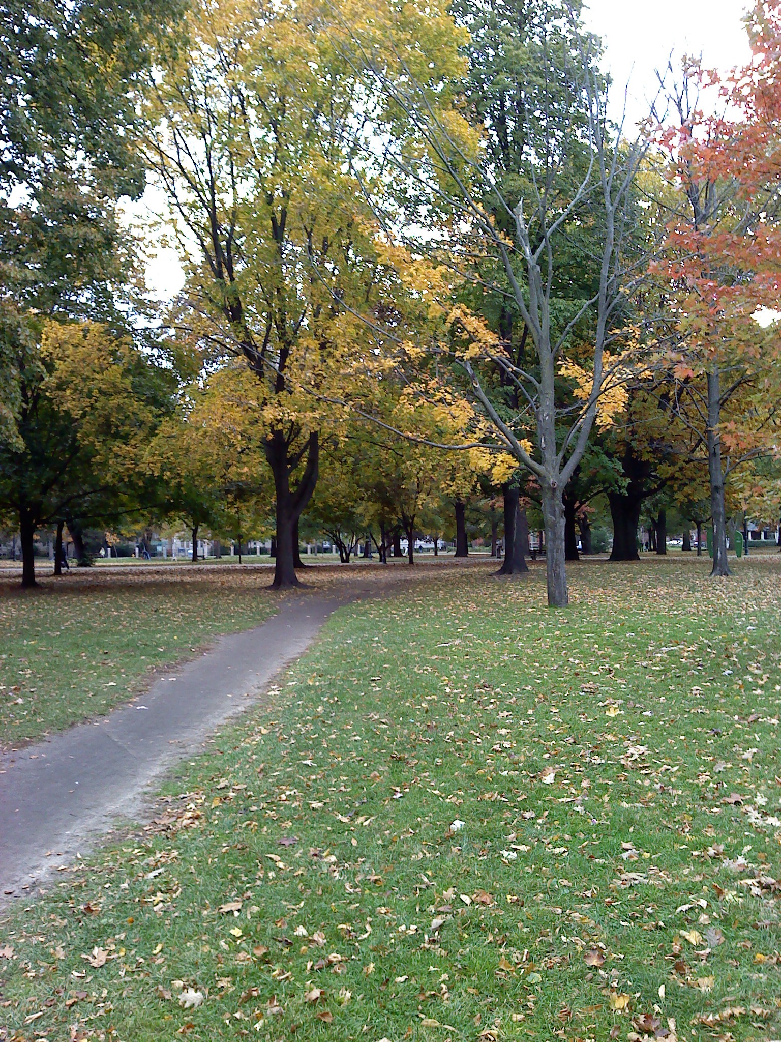 Queen's Park in Autumn 2