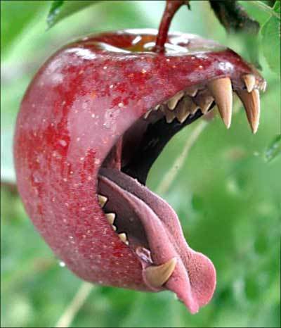 Evil Apple 