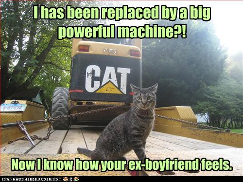 Cat is Replace by a Machine