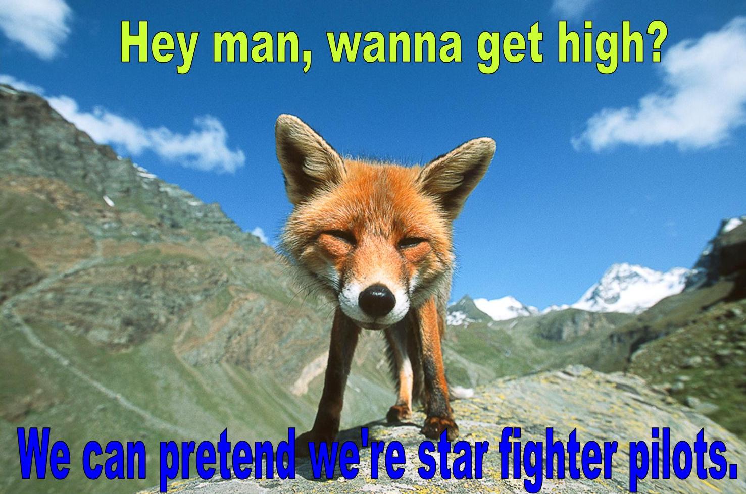 Starfoxlol