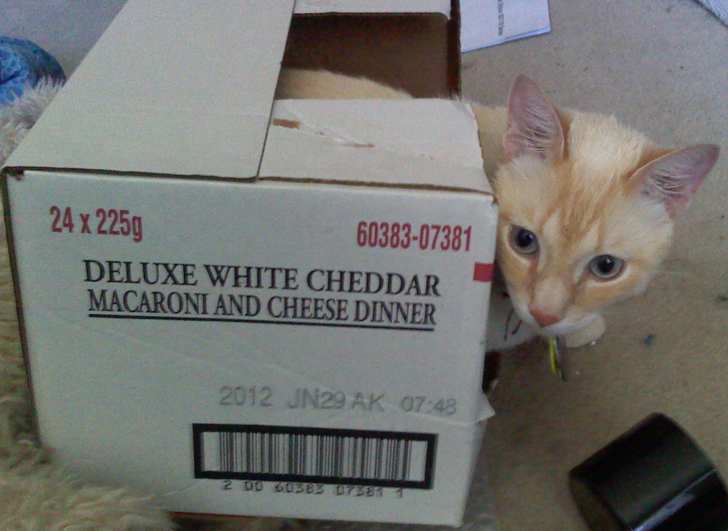 Deluxe White Cheddar