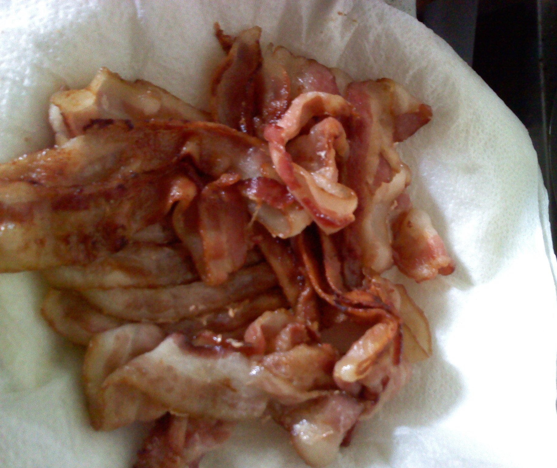 Bacon Fried Bacon