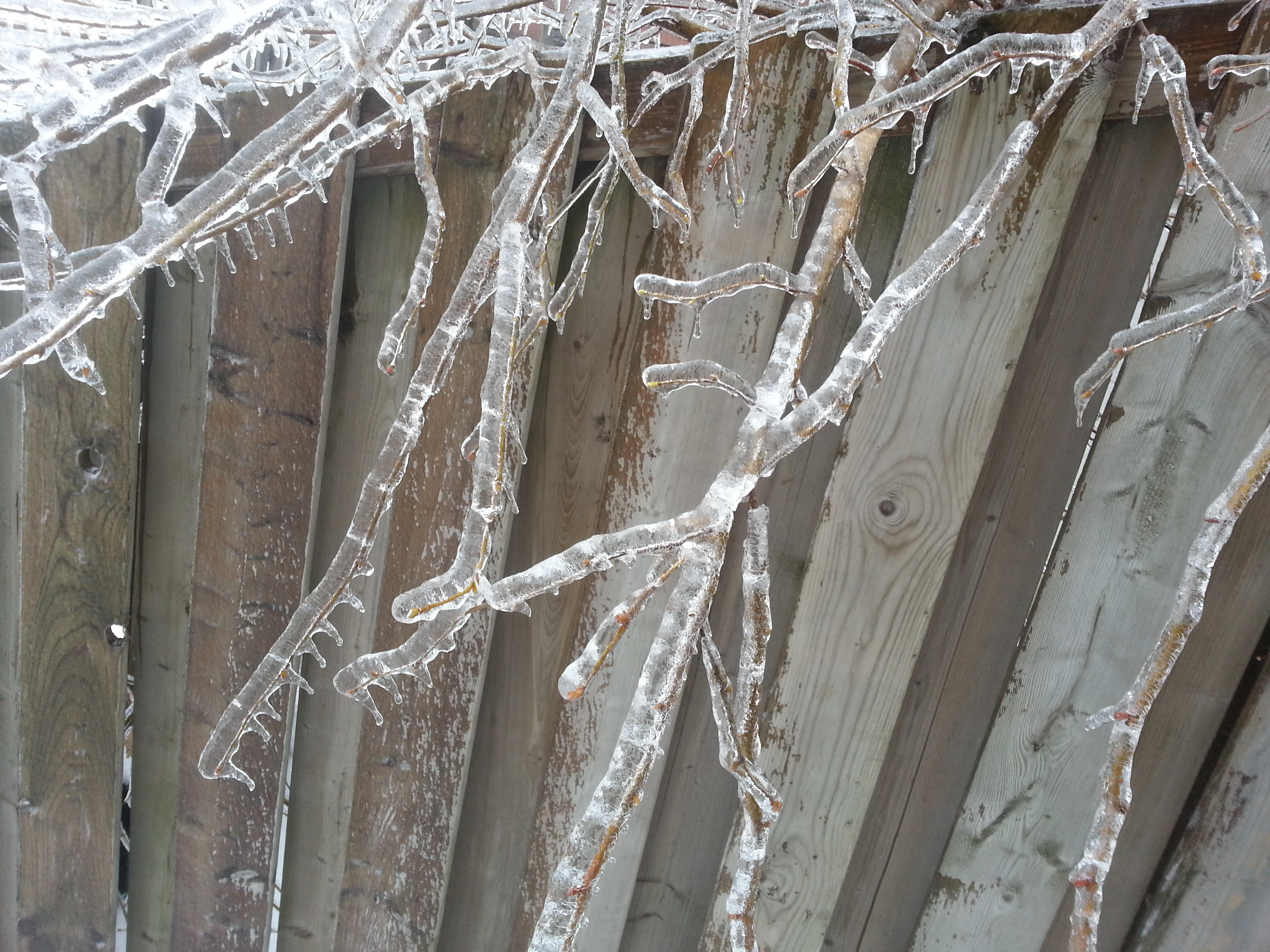 Ice Storm 1