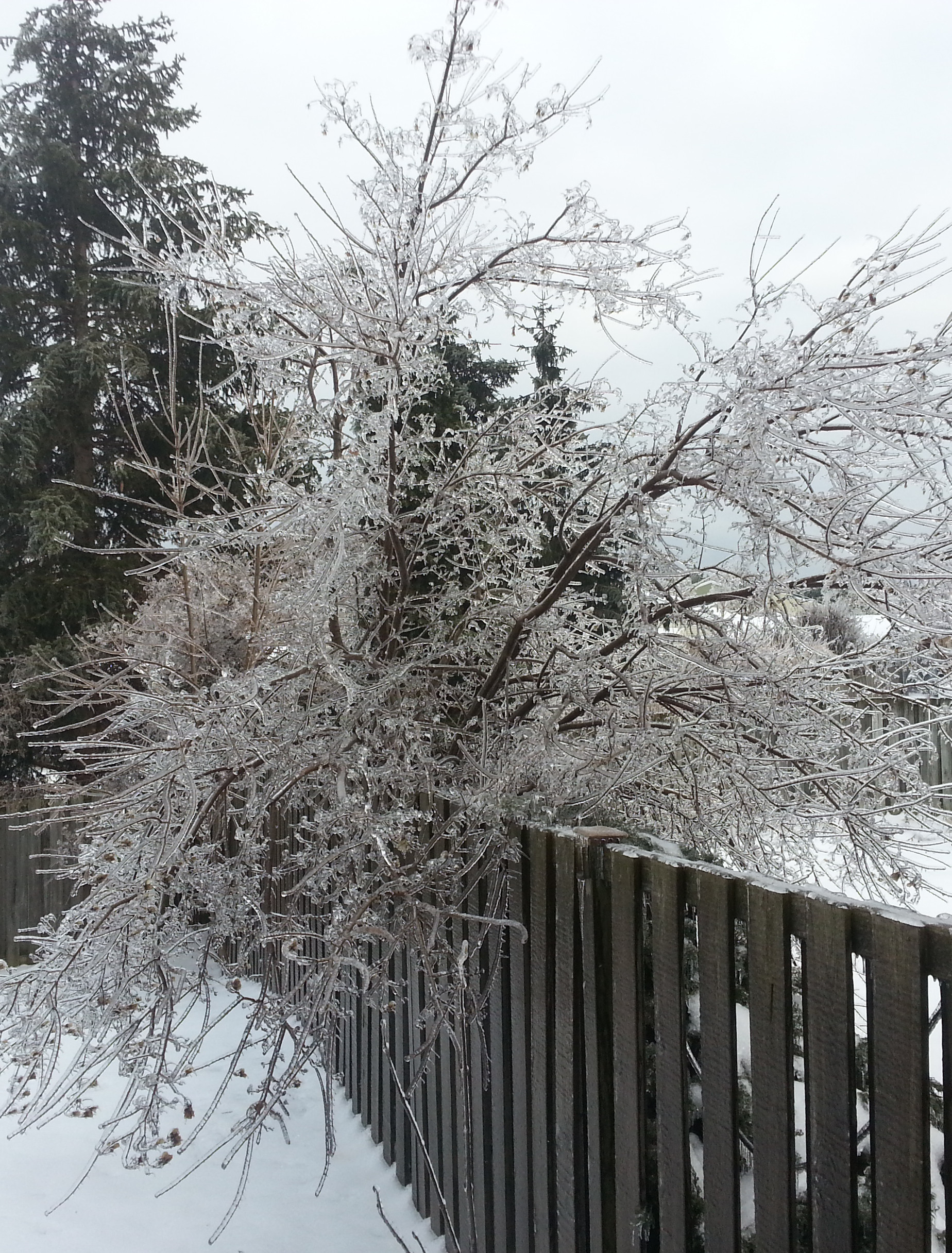 Ice Storm 3