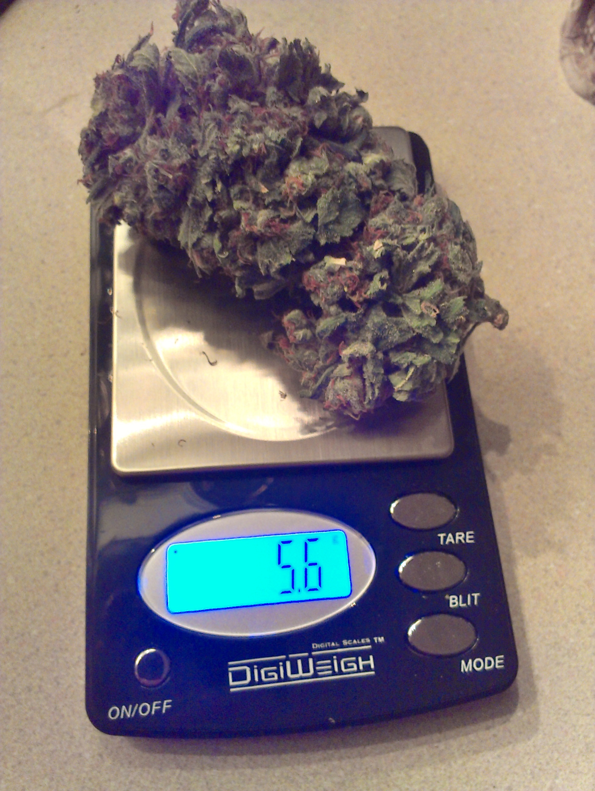 Super Skunk