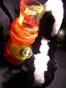 Skunk's Bong