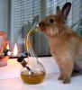 Bunny Bong