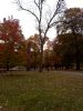 Queen's Park in Autumn